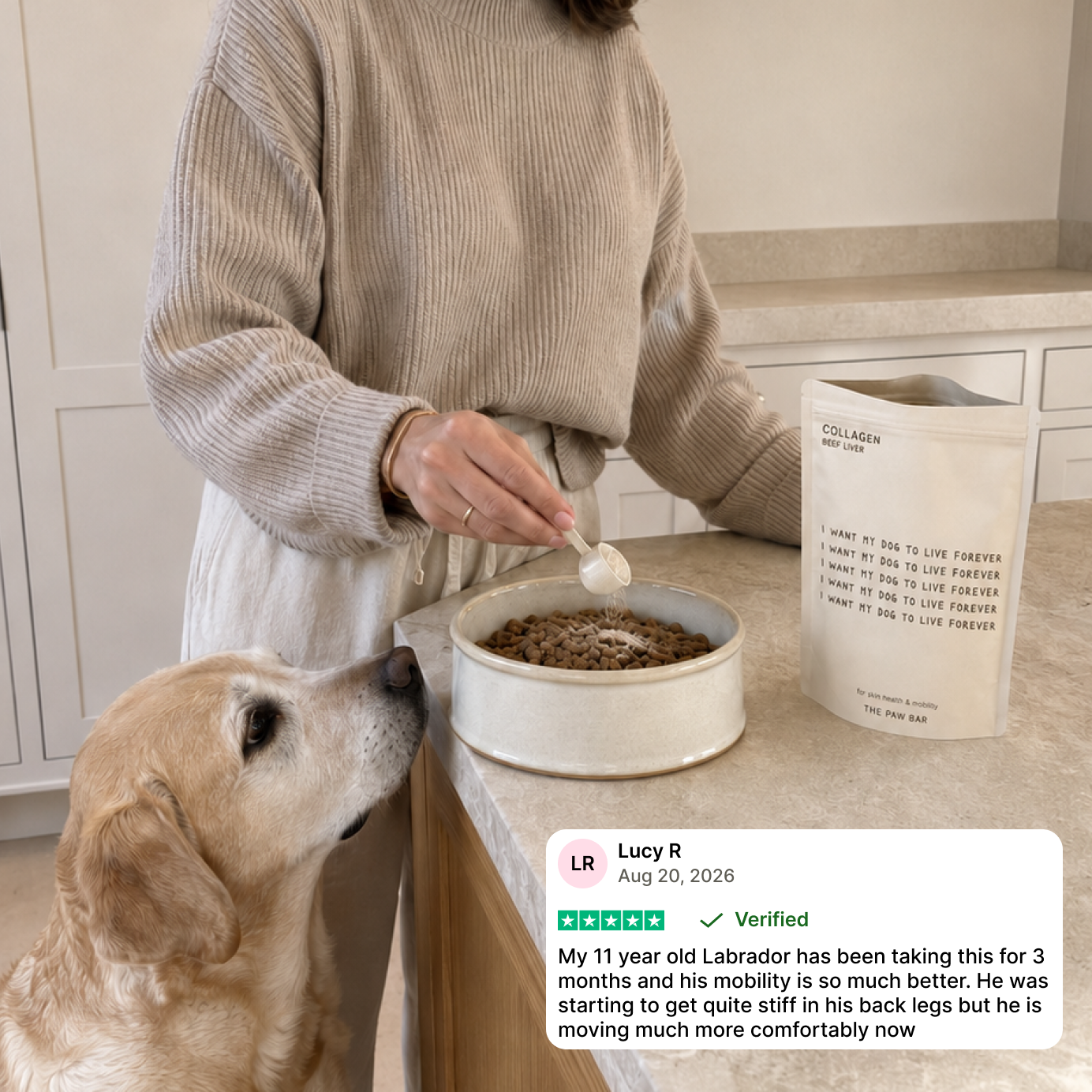 Everyday Dog Collagen