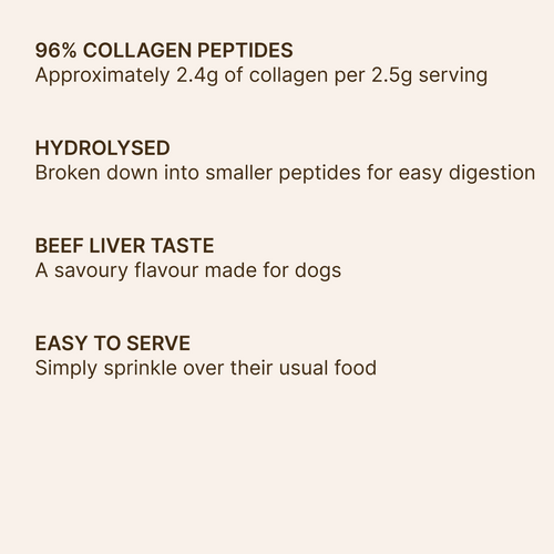 Everyday Dog Collagen